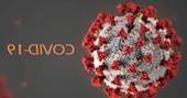 virus del COVID-XNUMX